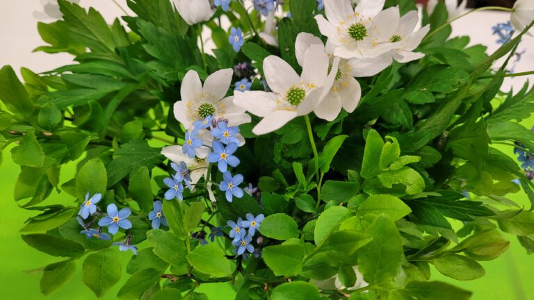 Kevätkauden päättäjäiset